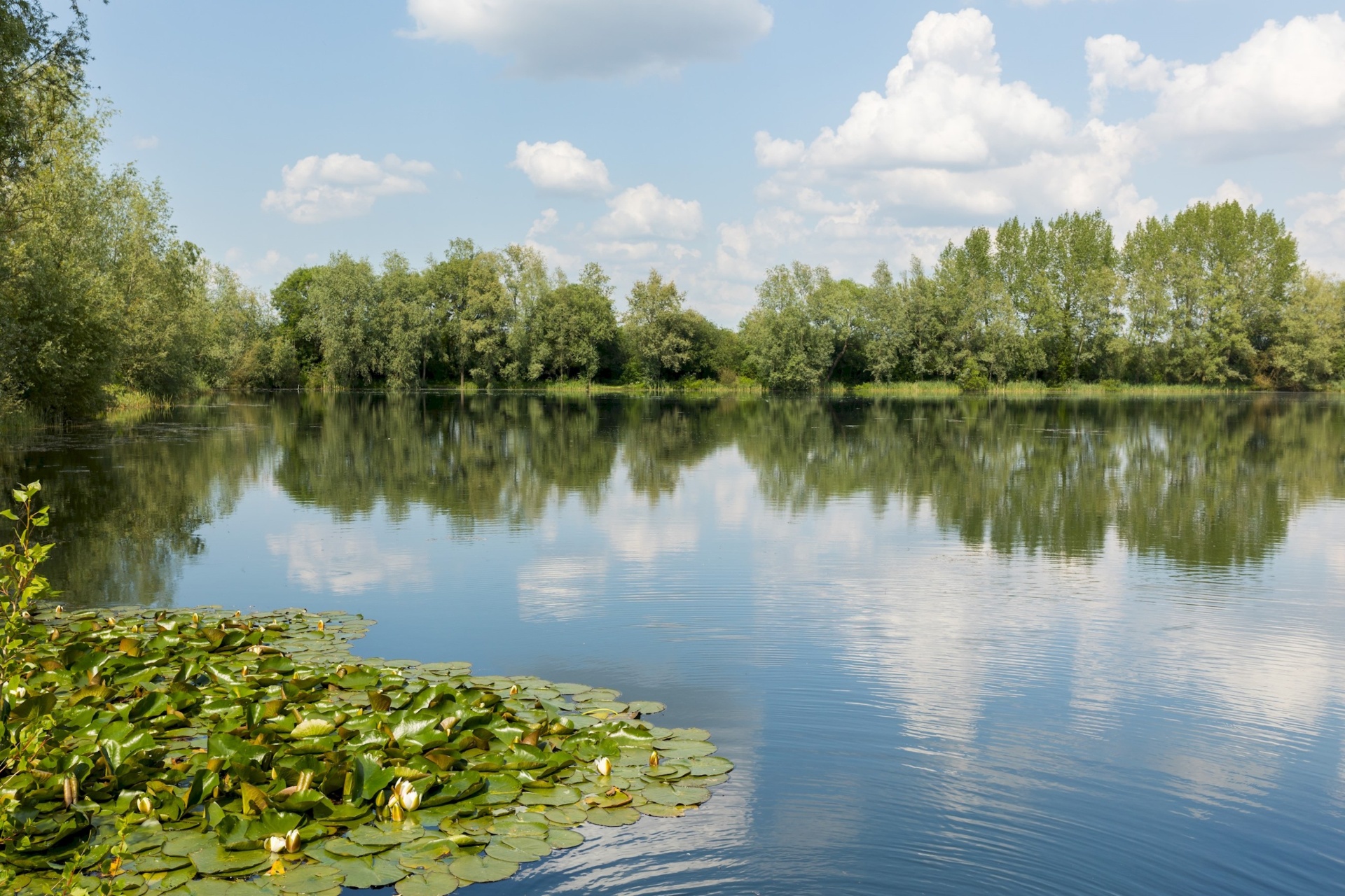 Lake Pochard in the Cotswold Water Park